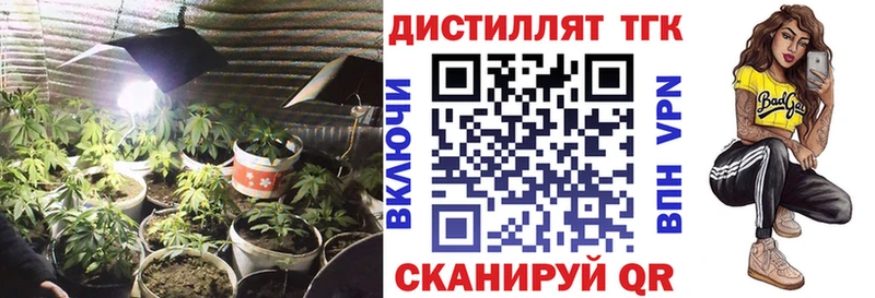 Купить где  Дальнереченск  Дистиллят ТГК THC oil 